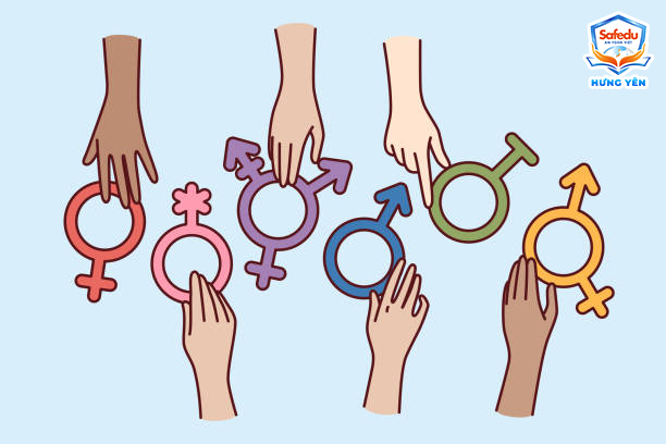 Giới tính Safedu Hưng Yên