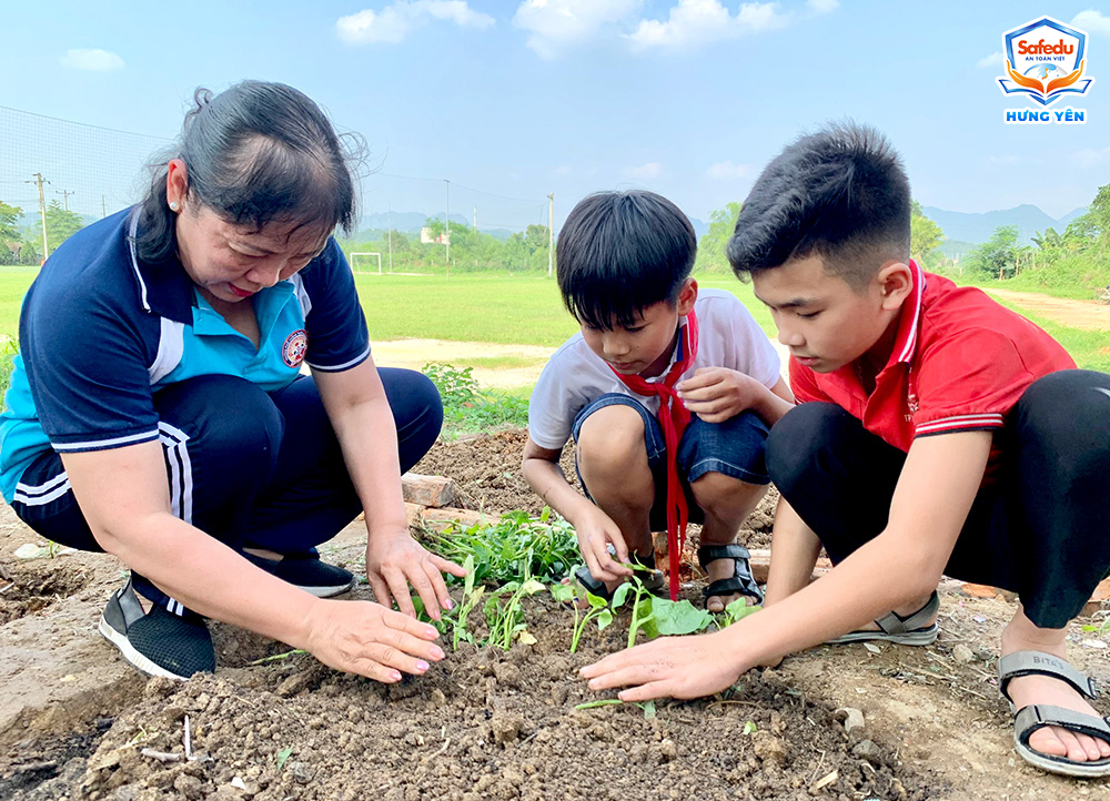 Kỹ năng an toàn hoạt động ngoại khoá Safedu Hưng Yên