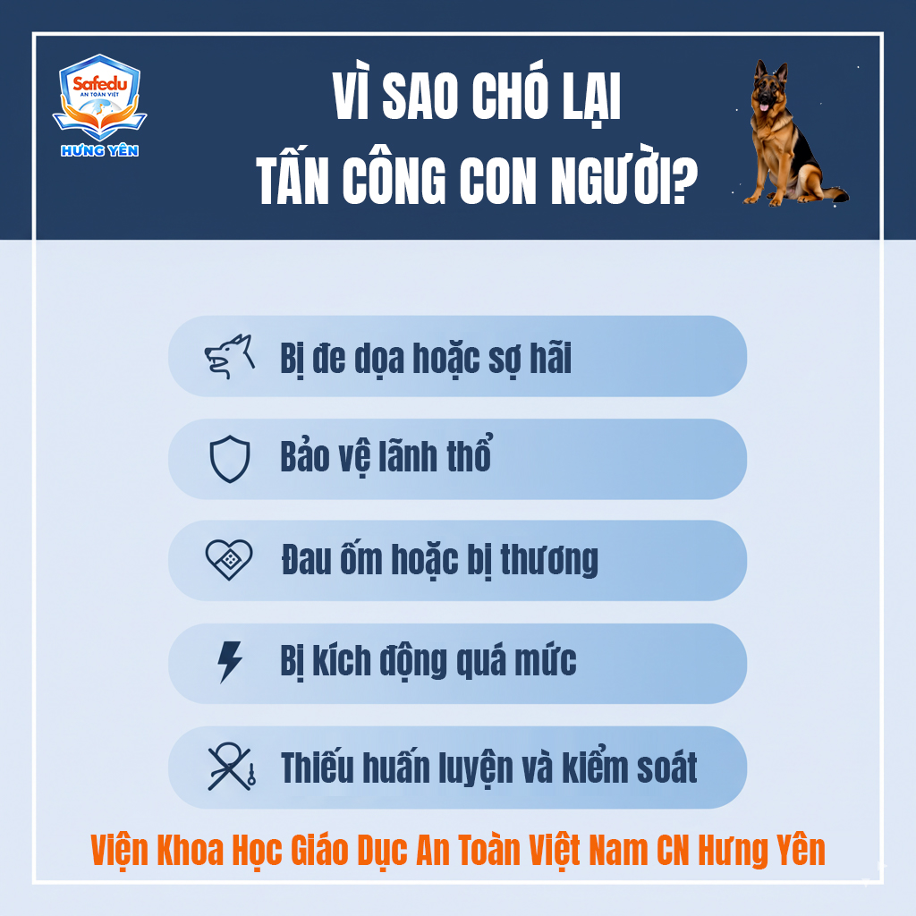 Kỹ năng phòng chống động vật tấn công Safedu Hưng Yên